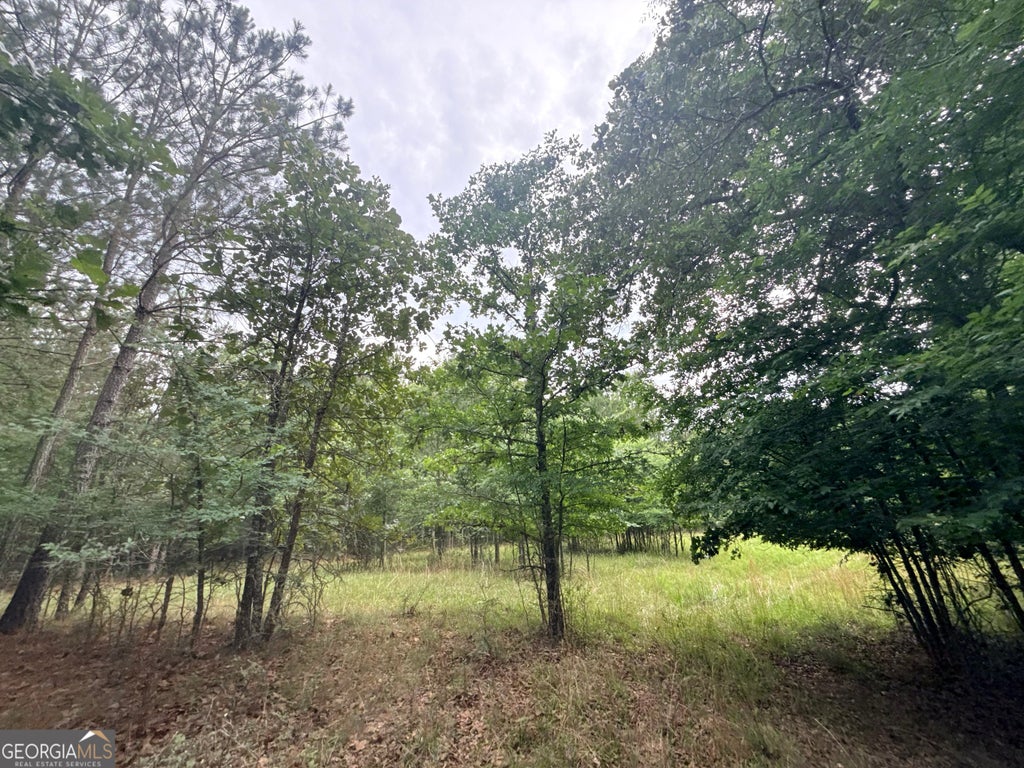 Photo of 3 Bethesda Church Road, Lexington, GA 30648 (MLS # 10785527)
