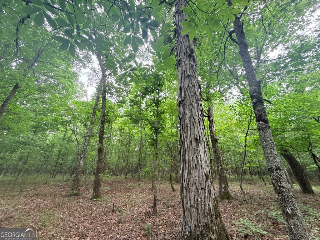 Photo of 3 Bethesda Church Road, Lexington, GA 30648 (MLS # 10785527)
