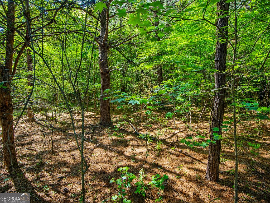 Photo of 1506 Bandy Road, LaFayette, GA 30728 (MLS # 10771291)