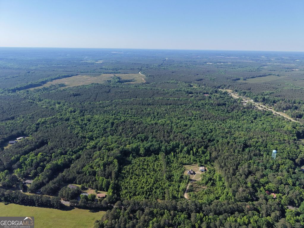 Photo of 1191 Peachtree West Avenue, Union Point, GA 30669 (MLS # 10757102)