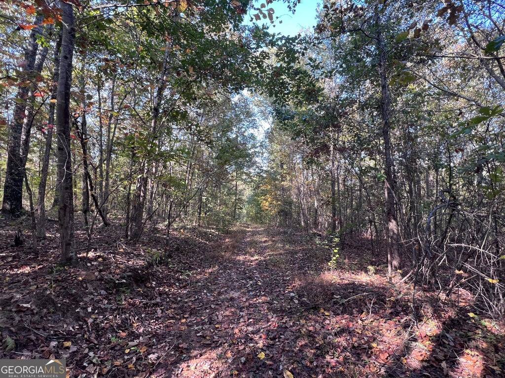 Photo of 0 Austin Road, Newnan, GA 30263 (MLS # 10881650)