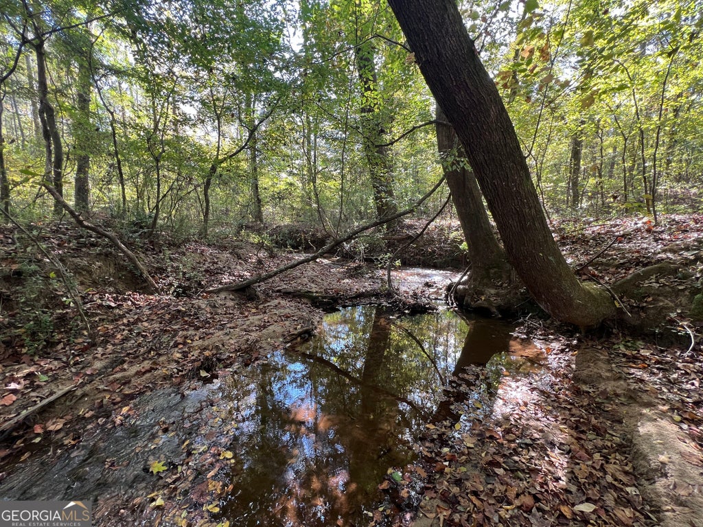Photo of 0 Austin Road, Newnan, GA 30263 (MLS # 10881650)