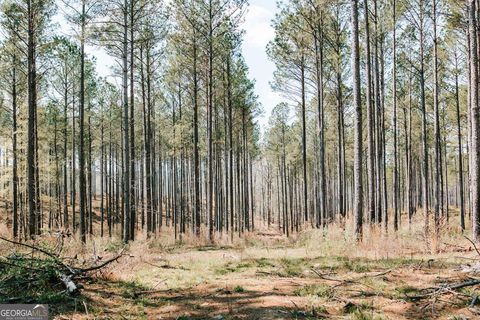 Photo of 0 Washington Road, Lexington, GA 30648 (MLS # 10721696)