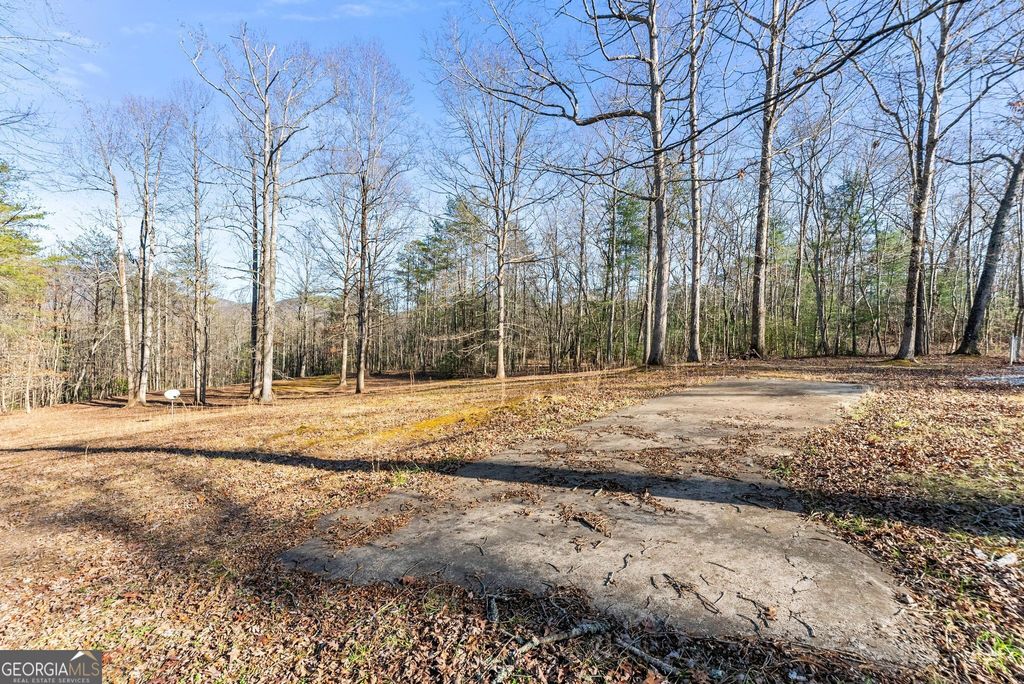 Photo of 368 Harkins Road, Cleveland, GA 30528 (MLS # 10659713)