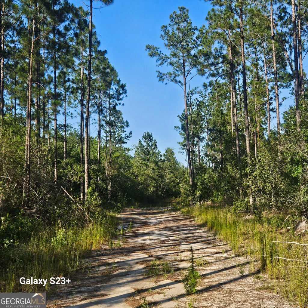 Photo of 0 Mill Branch Club Road Lot 1N, Nevils, GA 31321 (MLS # 10848477)