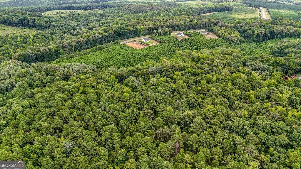 Photo of 124 Gumm Cemetary Road, Milledgeville, GA 31061 (MLS # 10676982)