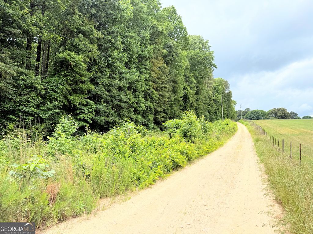 Photo of 0 Toccoa Road, Carrollton, GA 30116 (MLS # 10770818)