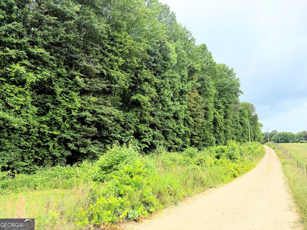 Photo of 0 Toccoa Road, Carrollton, GA 30116 (MLS # 10770818)