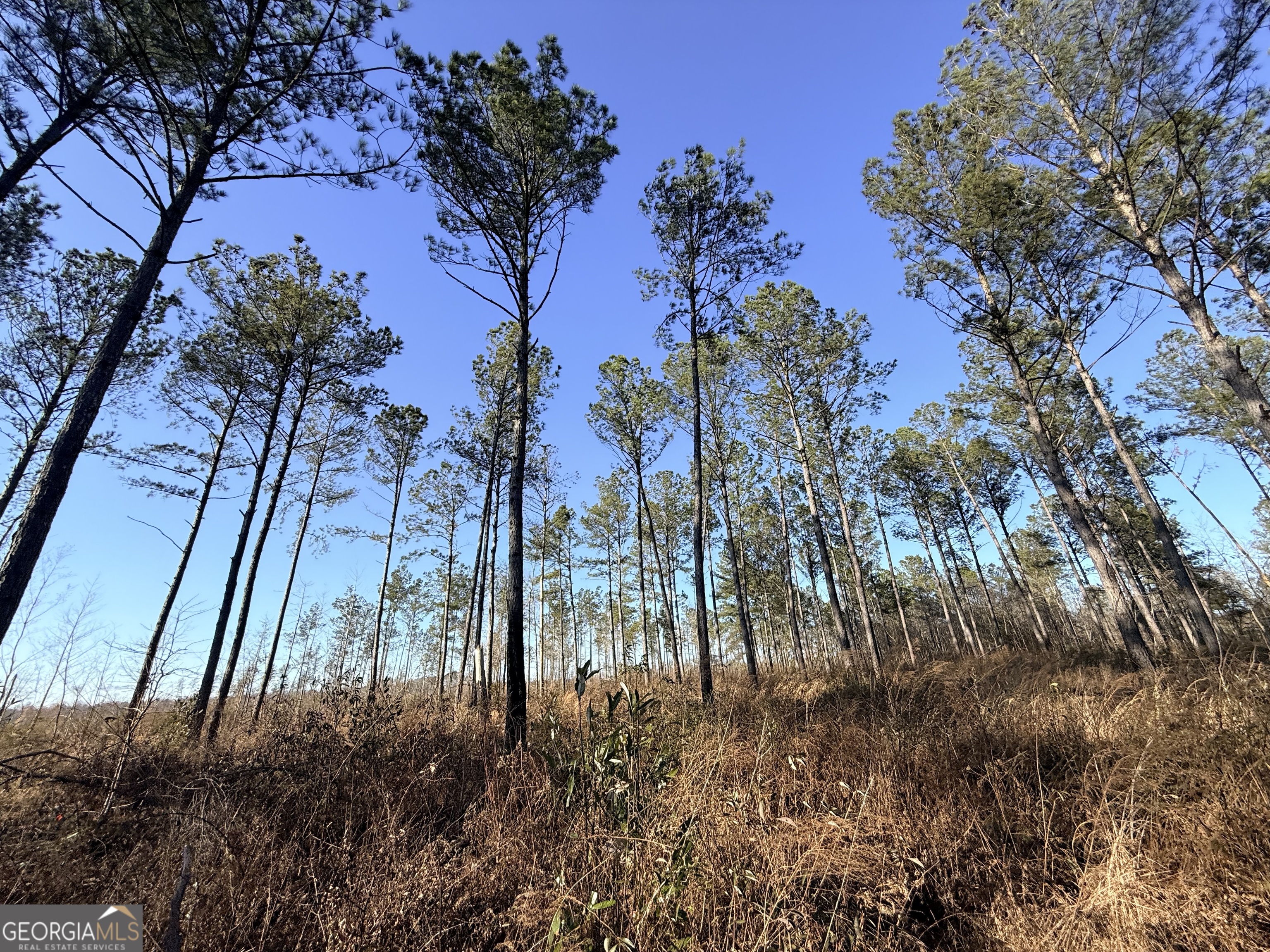 7 Sun Hill Grange RD