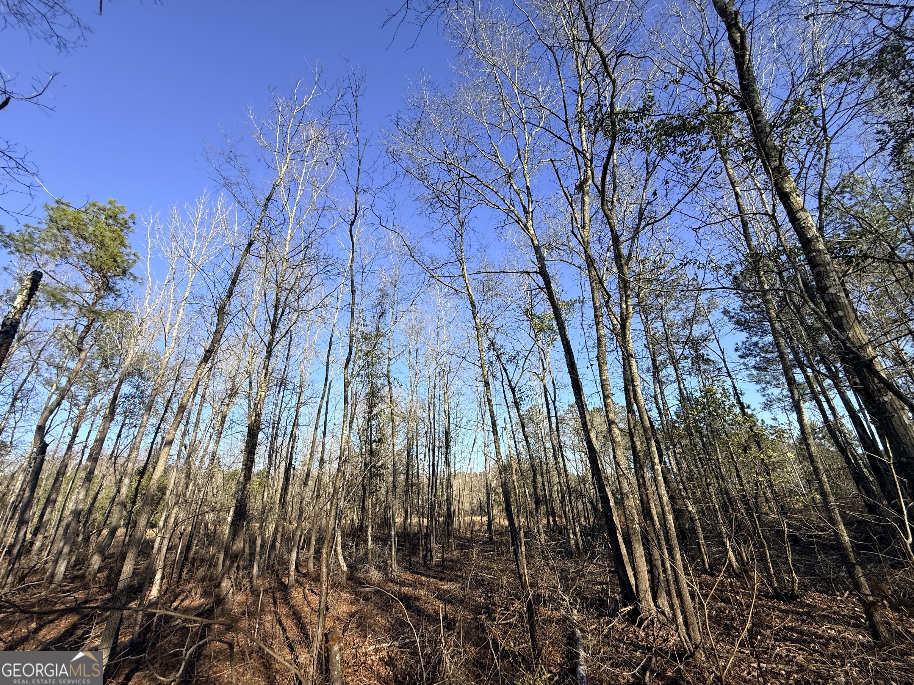 7 Sun Hill Grange RD