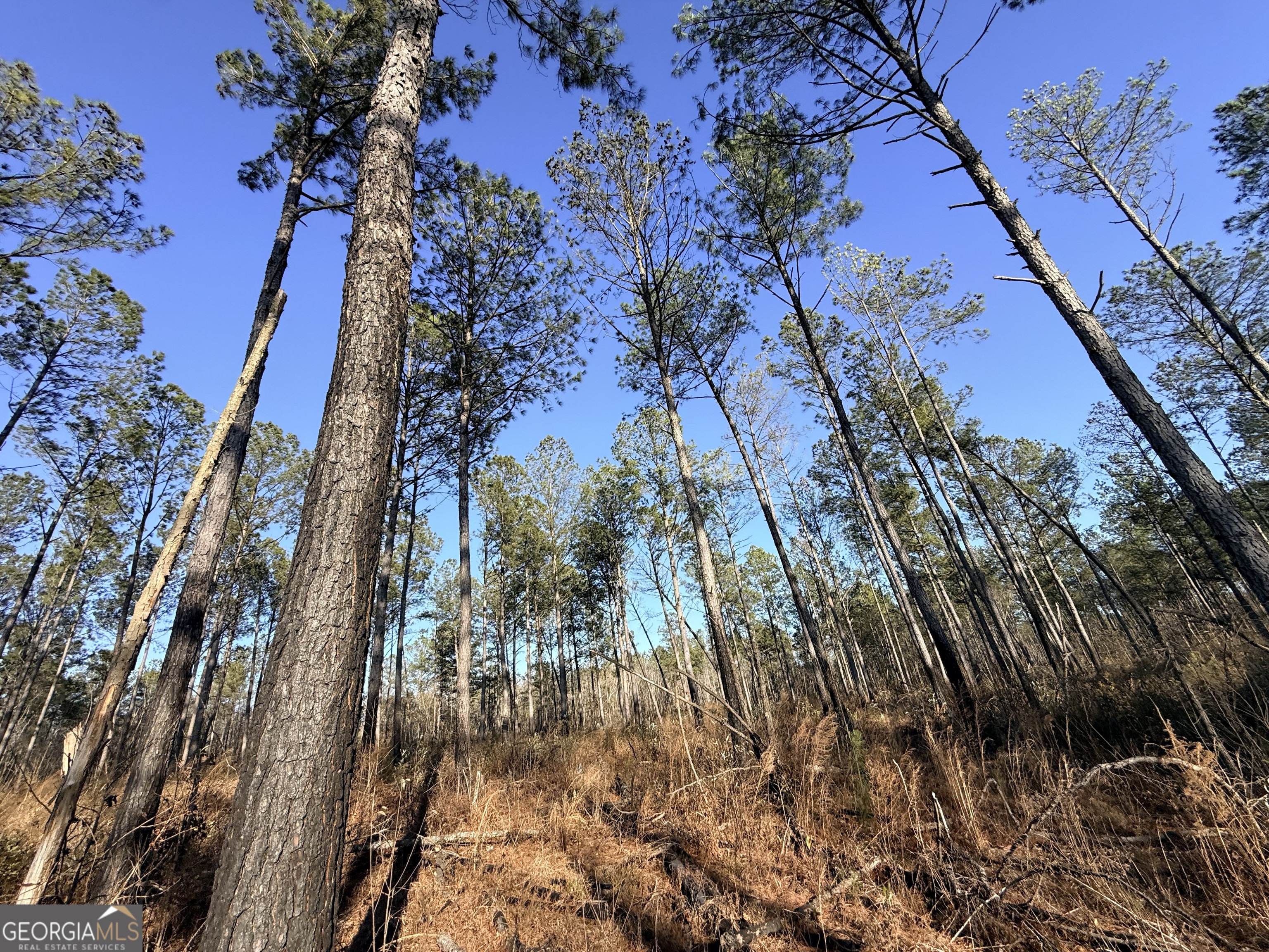 7 Sun Hill Grange RD