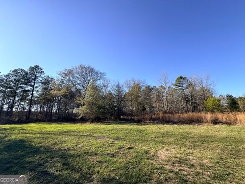 7 Sun Hill Grange RD Davisboro GA 31018