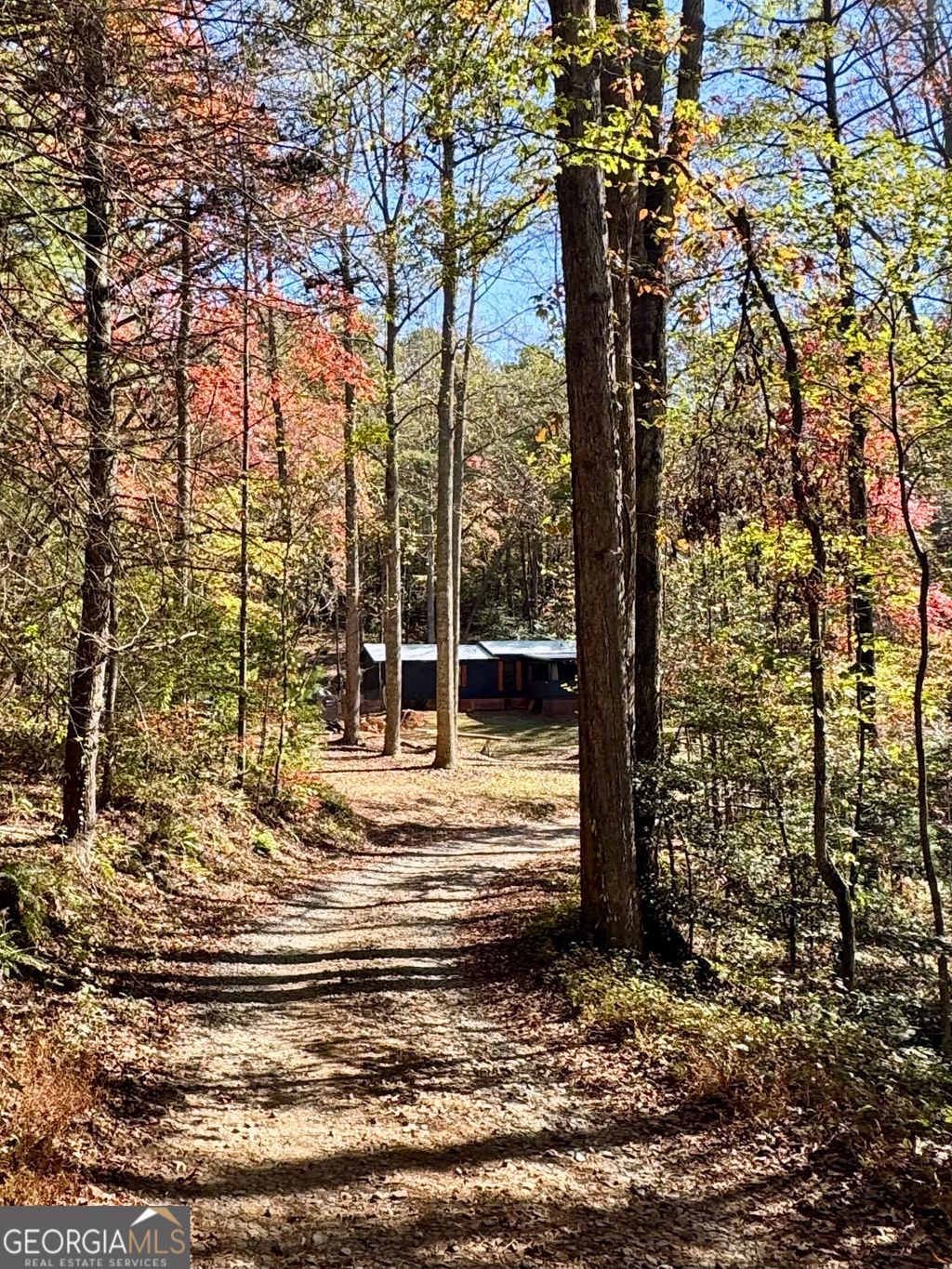 Photo of 468 Charlottes Web Drive, Ellijay, GA 30540 (MLS # 10632079)