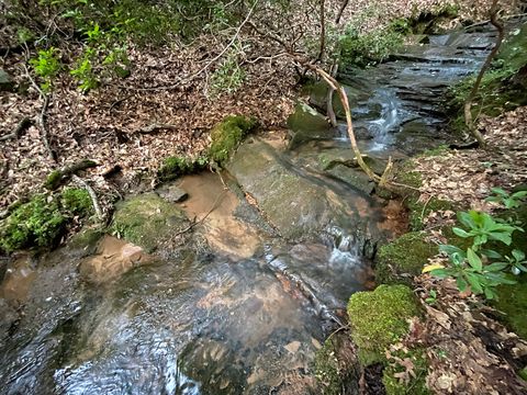 64 Kristen LN Ellijay GA 30540