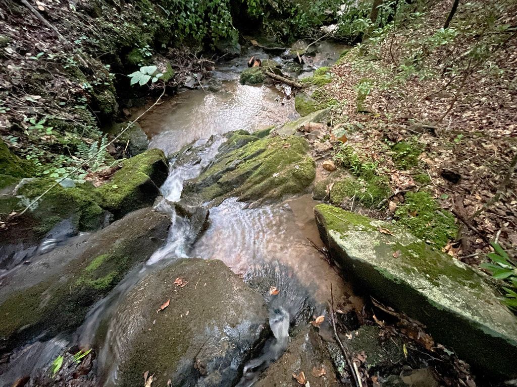 Photo of 64 Kristen Lane, Ellijay, GA 30540 (MLS # 10729260)