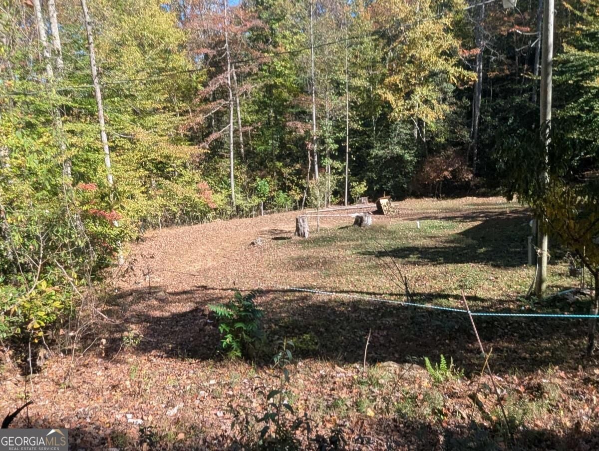 4720 Jones Gap RD 1