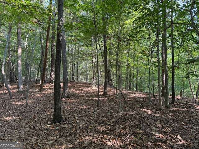 340 Jesse Martin Trail