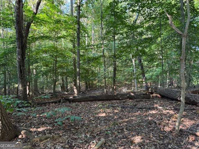 340 Jesse Martin Trail