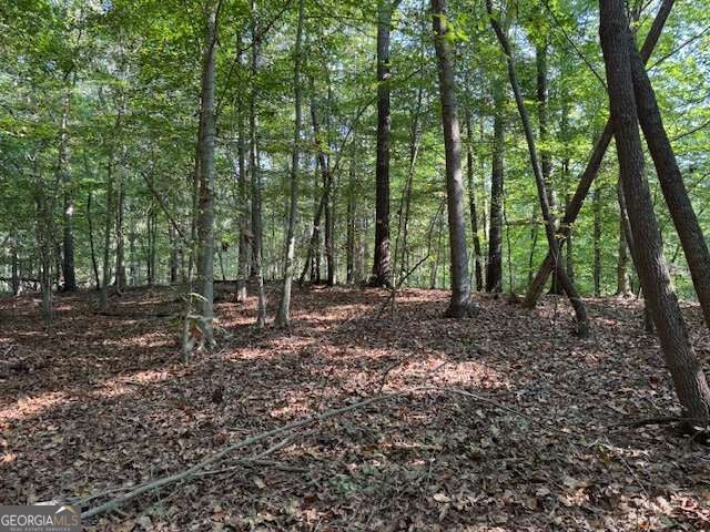 340 Jesse Martin Trail