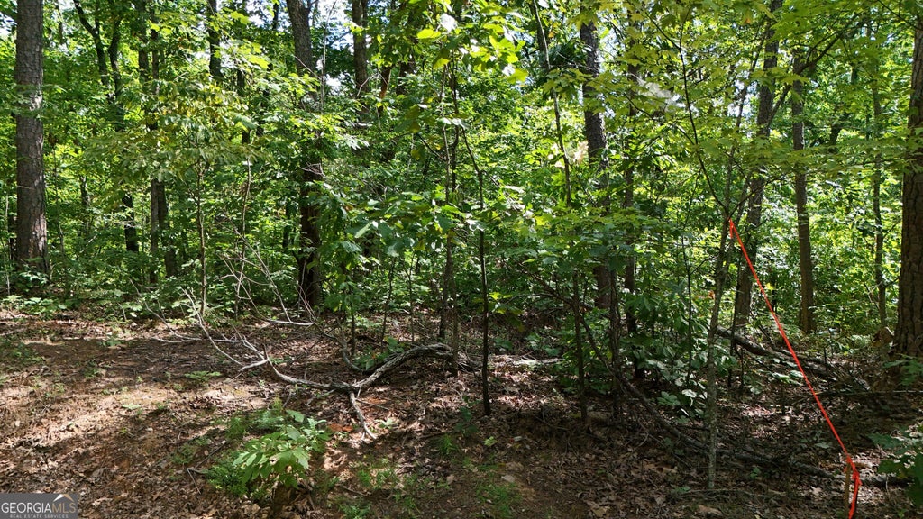 Photo of 175 Mountain Crest Drive, Clarkesville, GA 30523 (MLS # 10856079)