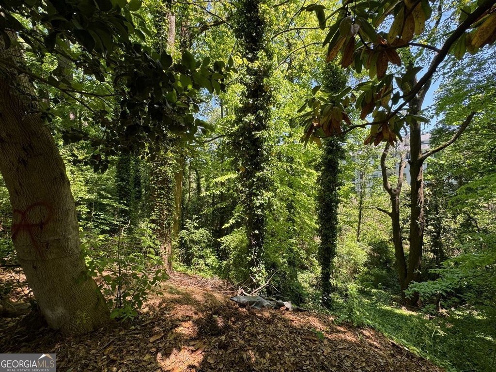 Photo of 1285 Cumberland Road NE, Atlanta, GA 30306 (MLS # 10729912)