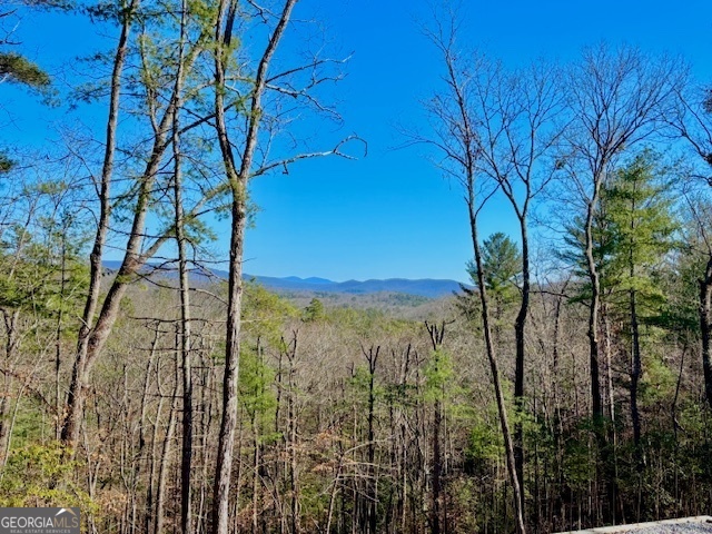 BILL CLAYPOOL DRIVE Lot 28