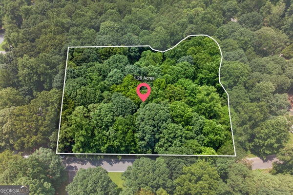 1322 CENTER DR, AUBURN, GA 30011 - Image bc44bc1dc01536e3ce2b1d53b7113ffb/4024496704