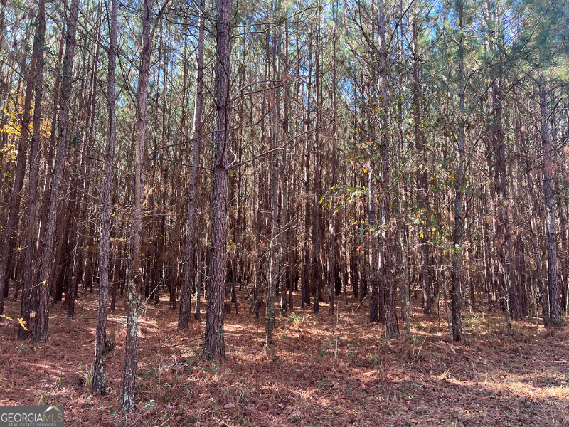 Macon - Land
