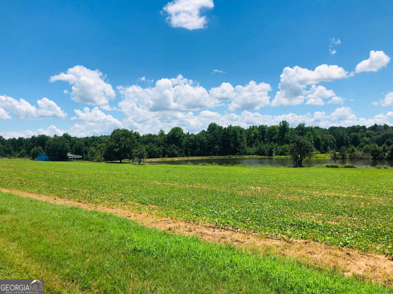 Macon - Land