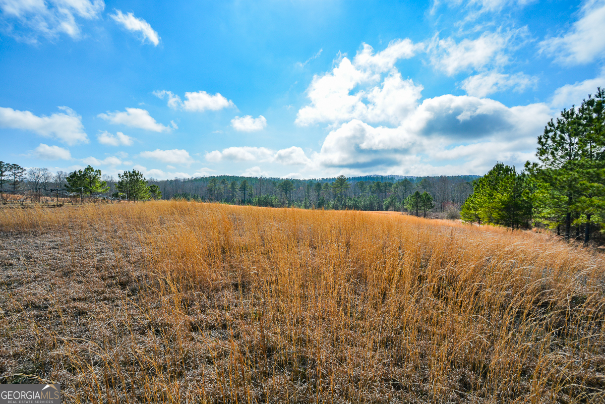 119 Inland 5 acres DR 5 ACRES