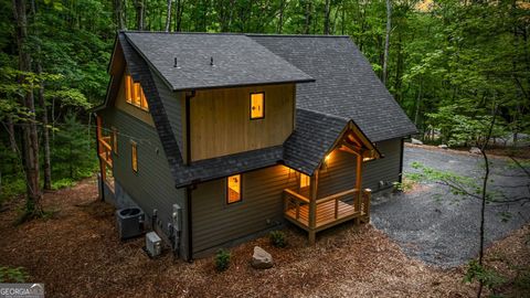 74 Cohutta Overlook TRL Blue Ridge GA 30513
