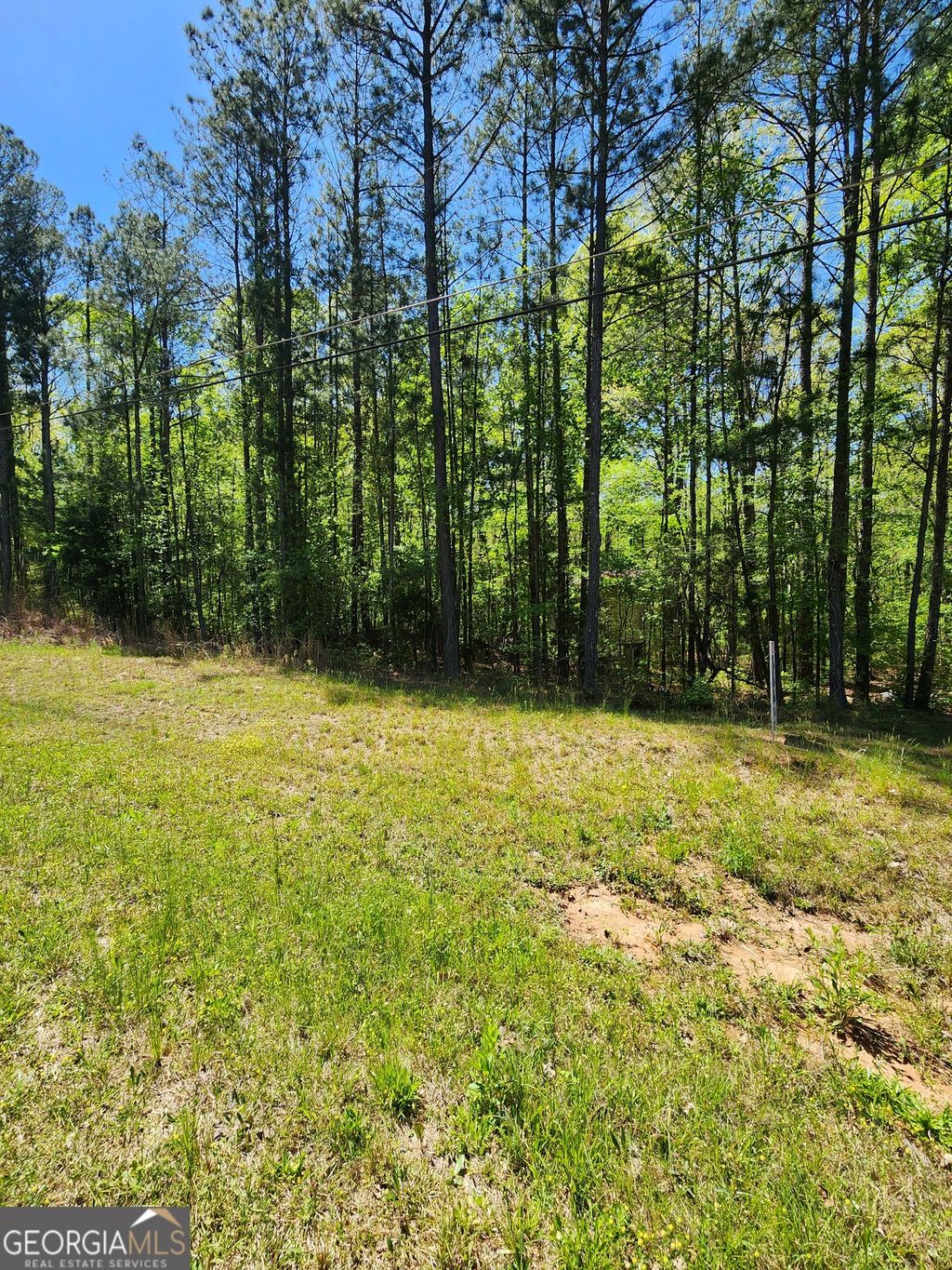 Photo of 674 Lower River Road, Covington, GA 30016 (MLS # 10730265)