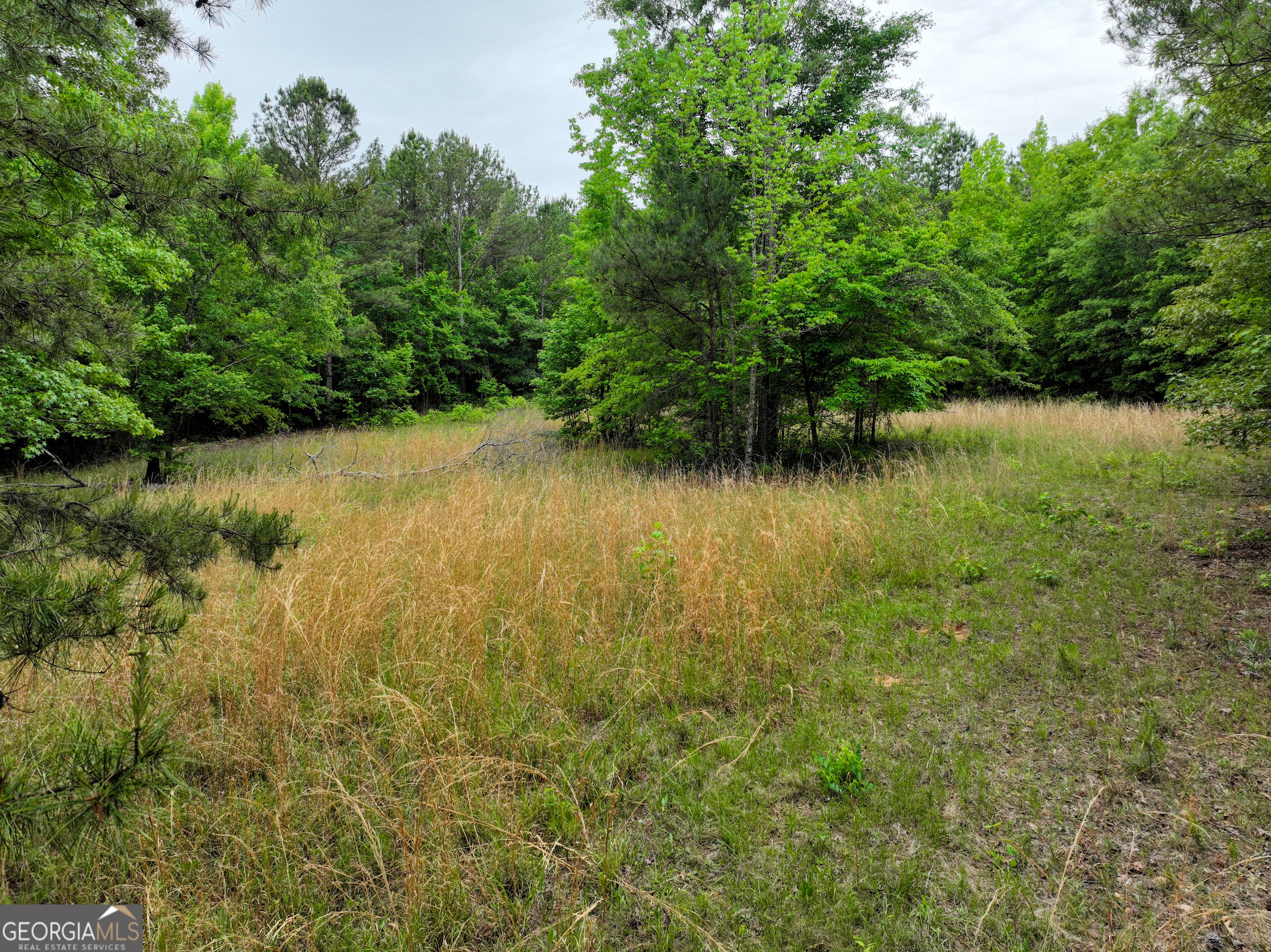 1099 Dixon RD