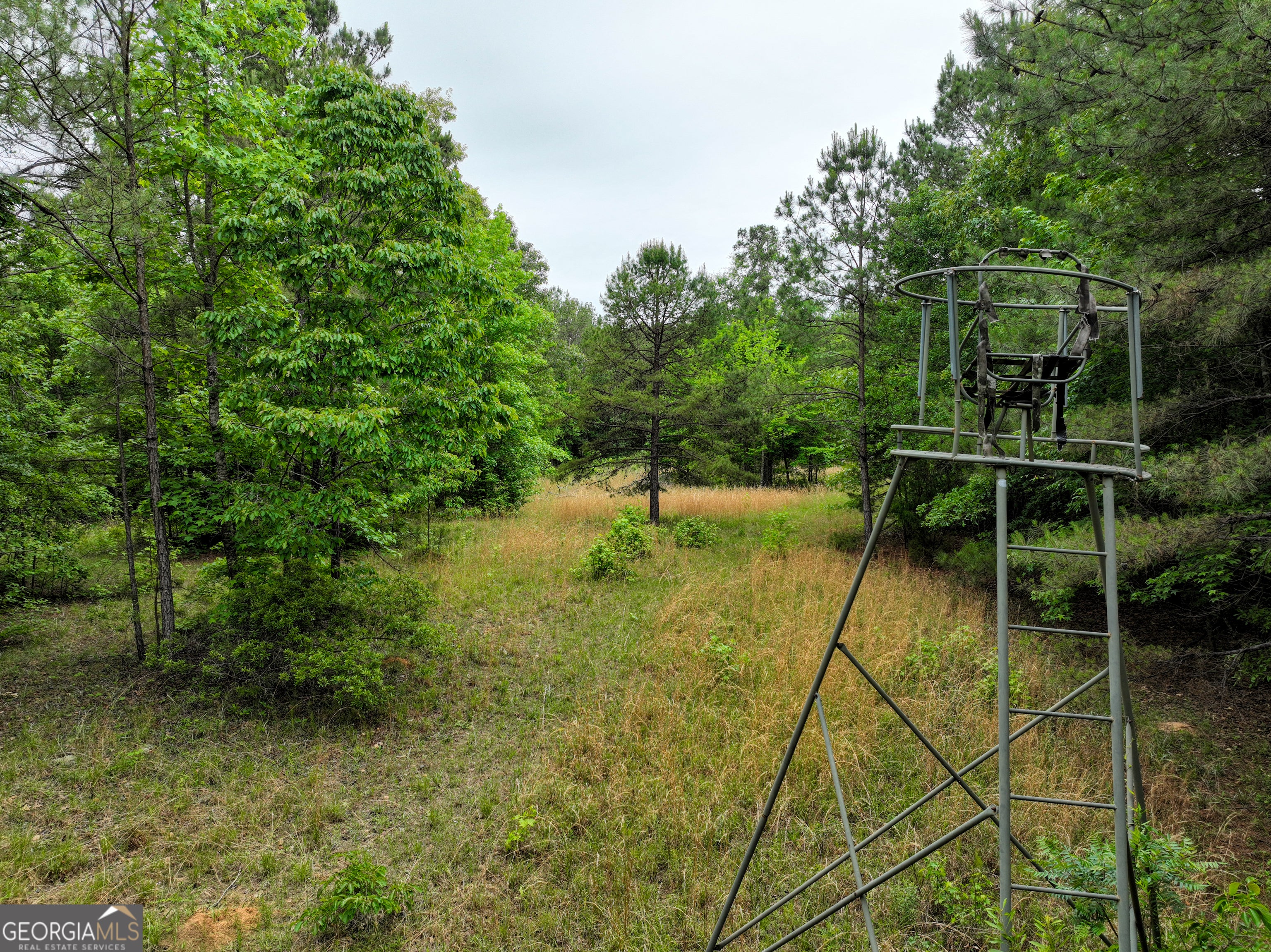 1099 Dixon RD