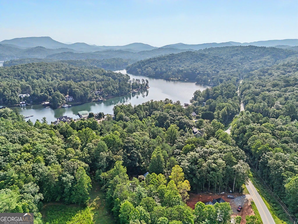 Photo of 2597 Burton Dam Road, Clarkesville, GA 30523 (MLS # 10816922)