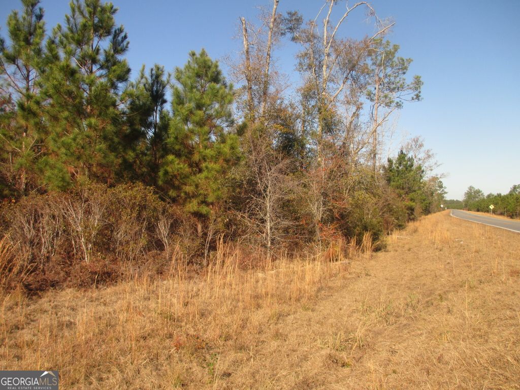 Photo of 88003 Pine Level Church Road, Hazlehurst, GA 31539 (MLS # 10660656)