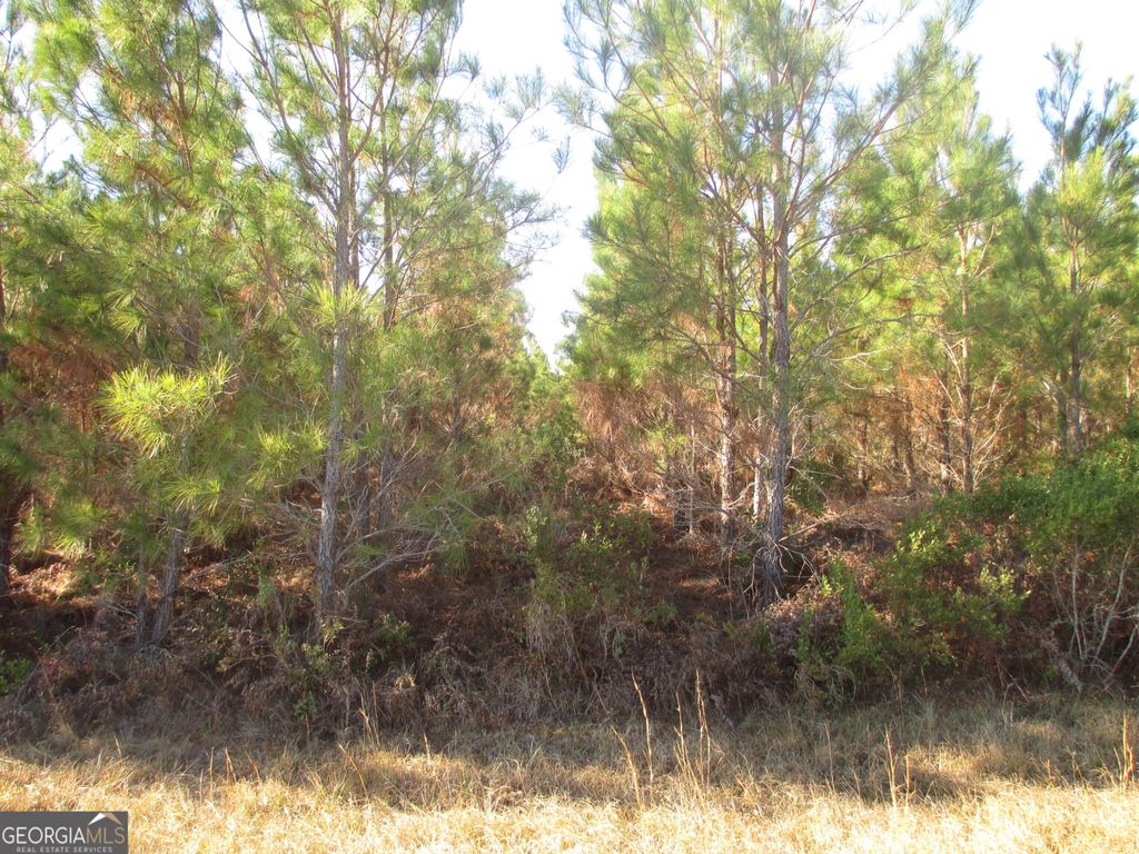 Photo of 88003 Pine Level Church Road, Hazlehurst, GA 31539 (MLS # 10660656)