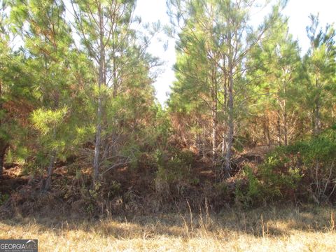 Photo of 88003 Pine Level Church Road, Hazlehurst, GA 31539 (MLS # 10660656)