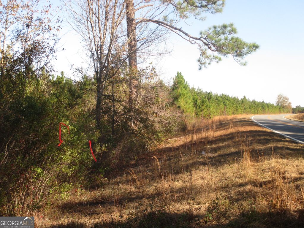 Photo of 88003 Pine Level Church Road, Hazlehurst, GA 31539 (MLS # 10660656)