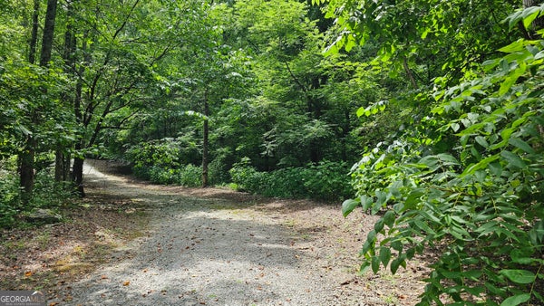 WINDING RIDGE DR, DILLARD, GA 30537 - Image bcaa4db2517d8ef2e4a725e02cecb629/3665919094