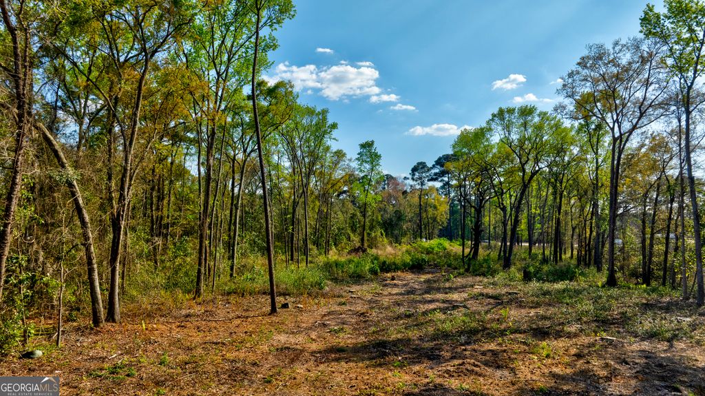 Photo of 2502 Staley Avenue, Savannah, GA 31405 (MLS # 10758169)