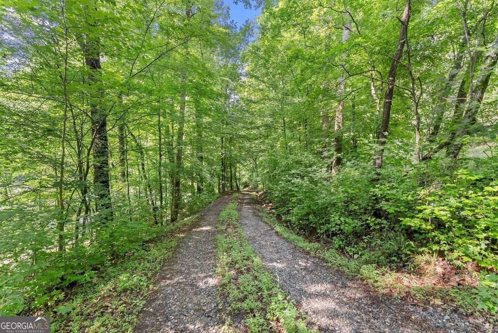 Photo of 0 Long Branch Road, Dahlonega, GA 30533 (MLS # 10783834)