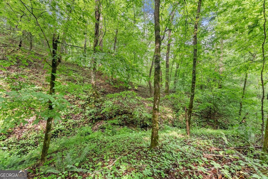 Photo of 0 Long Branch Road, Dahlonega, GA 30533 (MLS # 10783834)