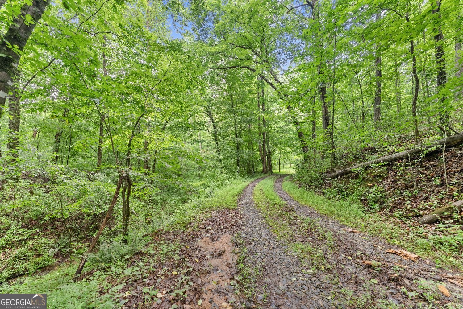 0 Long Branch RD