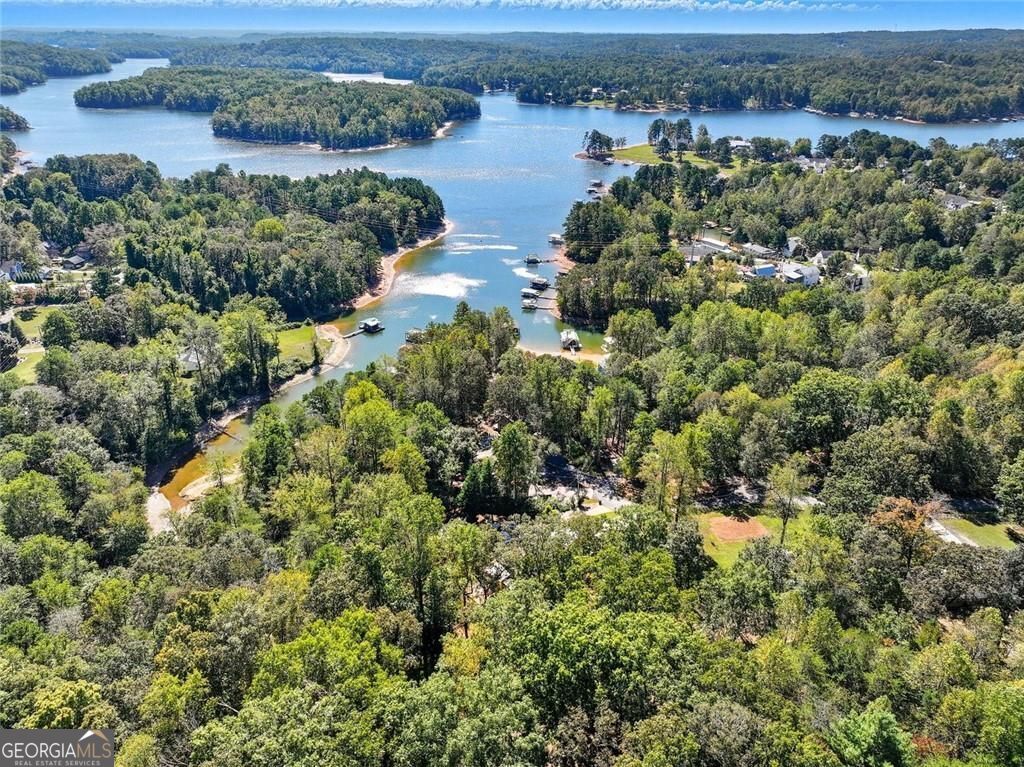 Lake Lanier- Private Dock - Residential