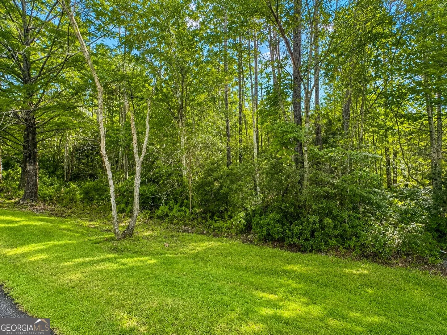LOT 163 La Terra Lane, Waverly, GA, 31565