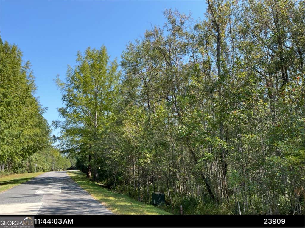 Photo of 163 La Terra Lane, Waverly, GA 31565 (MLS # 10818561)
