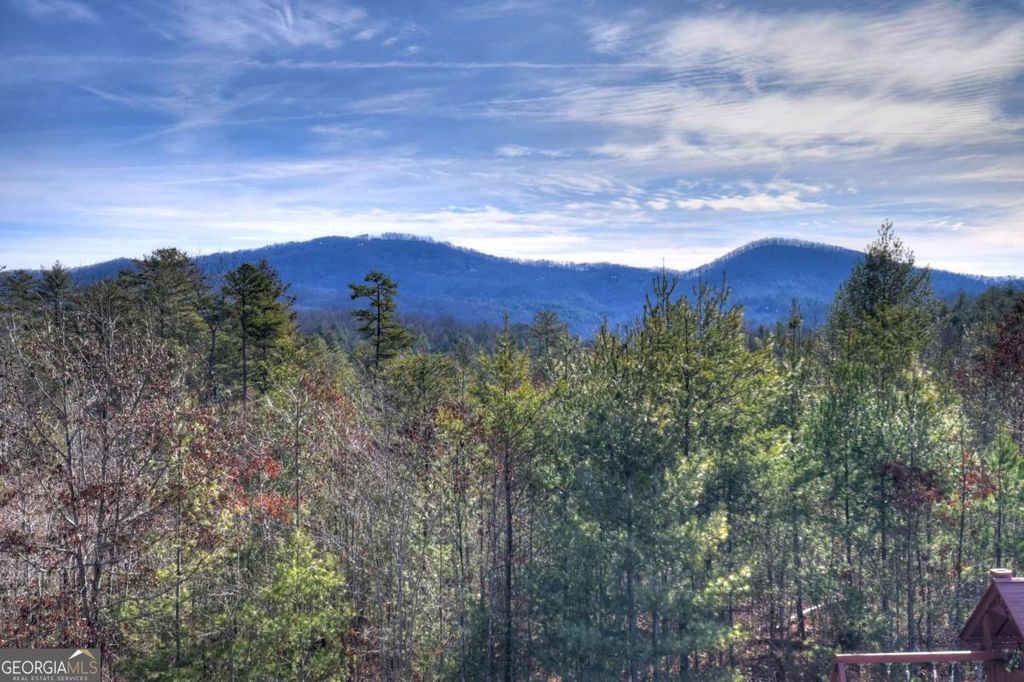 Photo of 1038 Synacia Drive, Mineral Bluff, GA 30559 (MLS # 10699223)