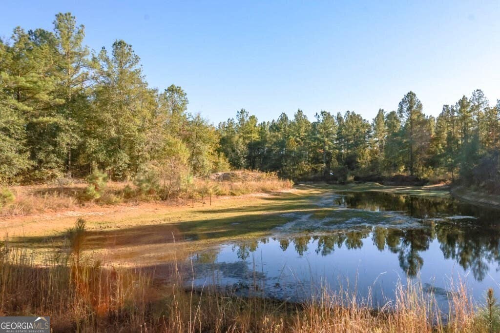Photo of 3 Scarboro Landing Road, Millen, GA 30442 (MLS # 10786248)