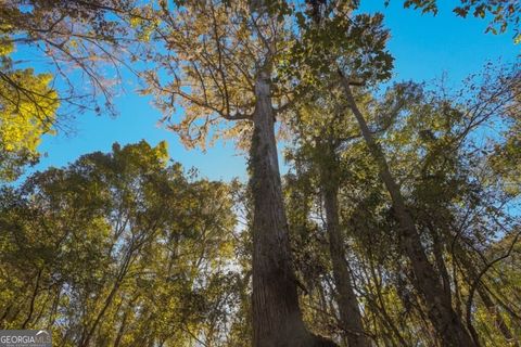 Photo of 3 Old Savannah Road #TRACT 3, Millen, GA 30442 (MLS # 10786248)